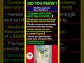 Mind Blowing Facts About the World