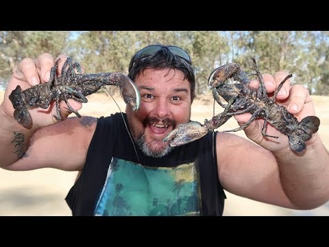 OMG I caught some HUGE yabbies