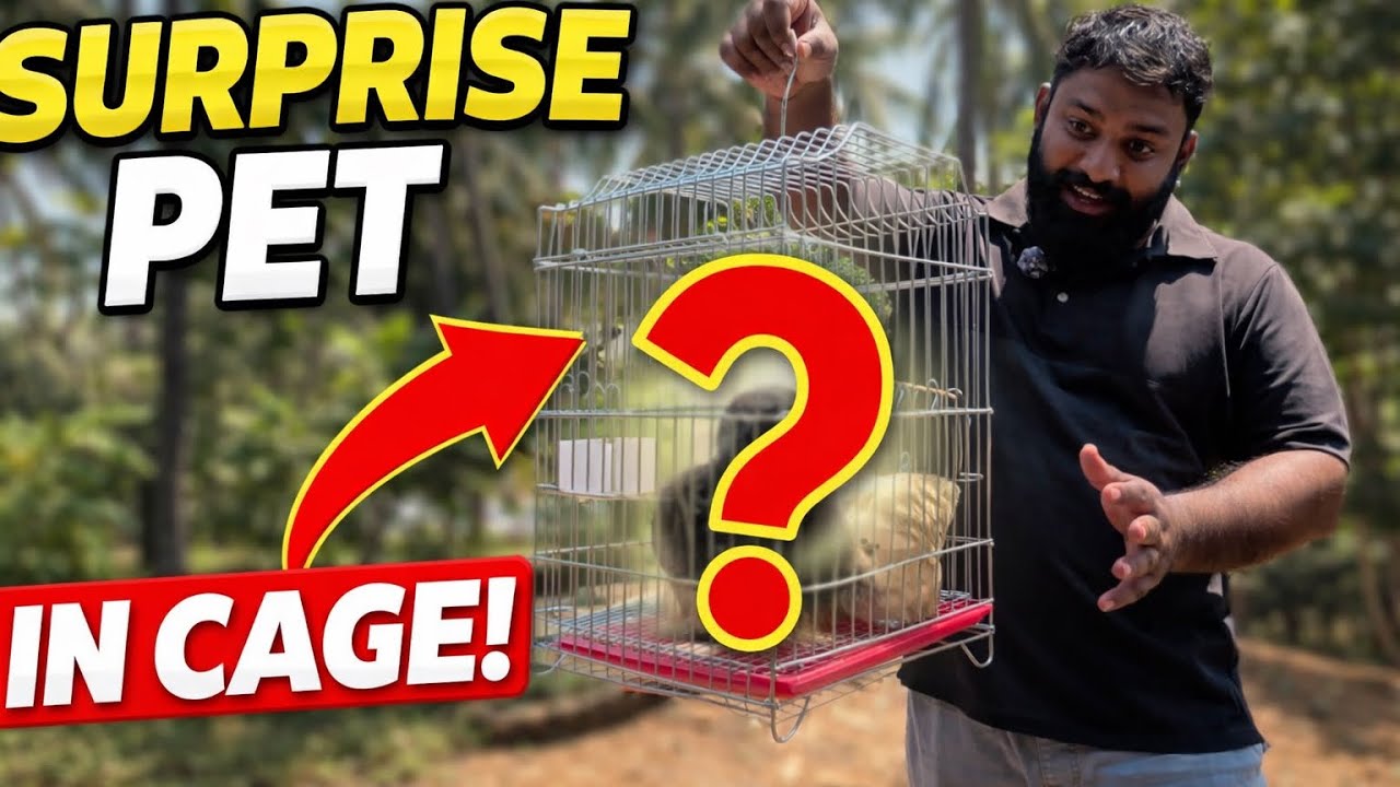 Вы не поверите, что внутри этой клетки! 👀🔥 #vlog