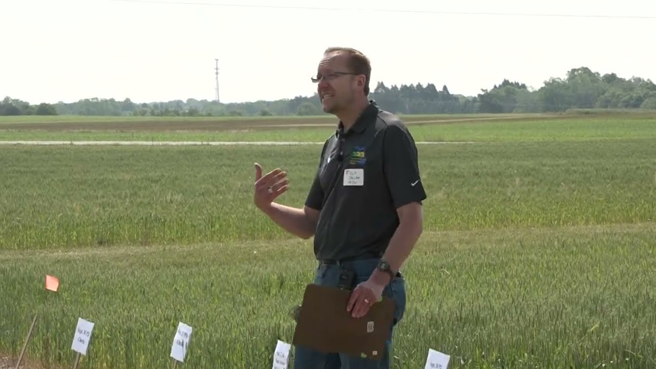 MI Wheat 2023 Summer Field Day: Fall Nutrition Sets the Course for Winter Wheat Yields