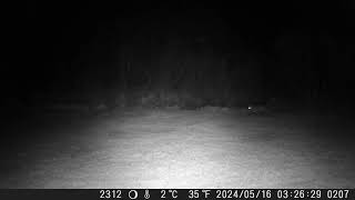 2024 — DSCF0207