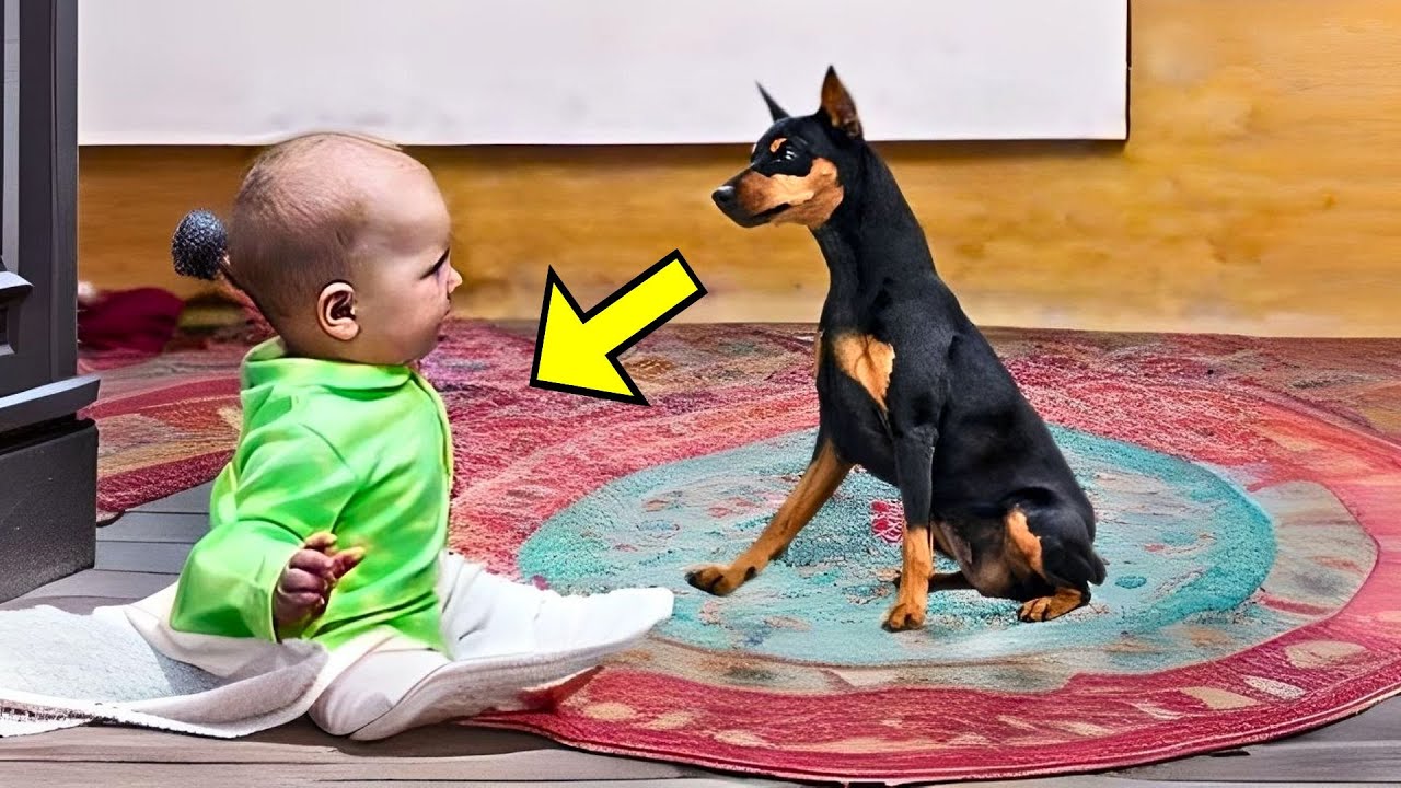 Father Adopts Dog For His Paralyzed Son - Months Later, A Miracle Happened!