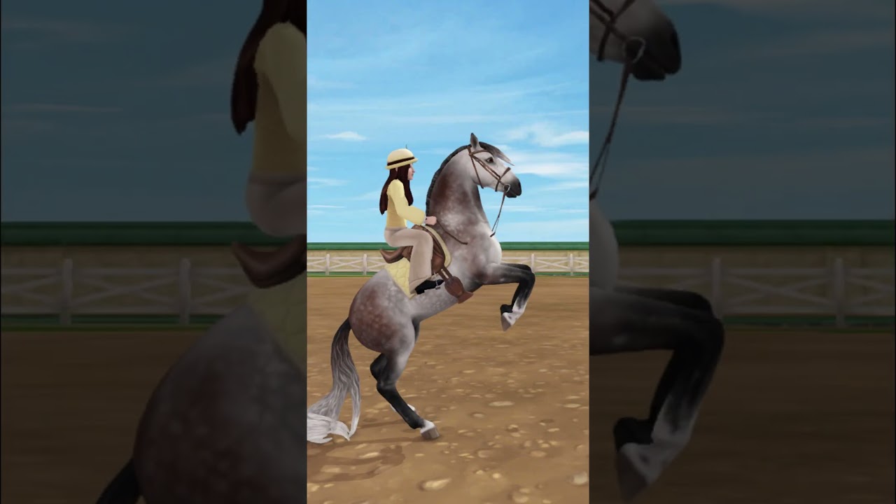 PRE Andalusian Horse 