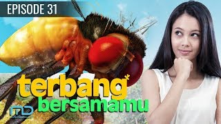Fly With You - Episode 31