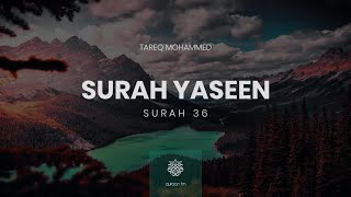 Surah Yaseen | #Qari_Tareq_Mohammed | سورة يس | القارئ طارق محمد Quran recitation