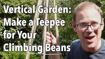 Vertical Garden: Make a Teepee for Your Climbing Beans