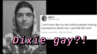 Dixie D'Amelio makes her point about not being gay! ࿎DeLi