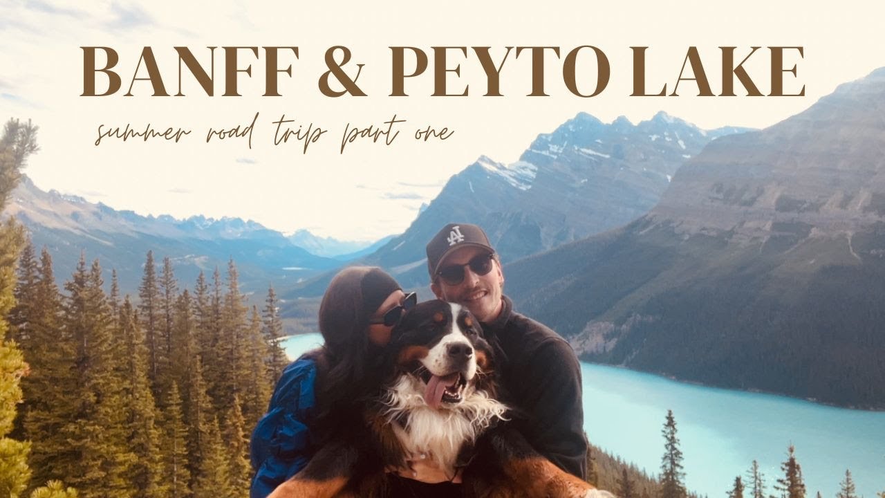 banff & peyto lake !! farm wedding, stampede, & more