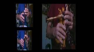 MUIÑEIRA DE LUGO NO DÍA DE GALICIA