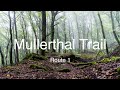 Mullerthal Trail in Luxembourg - Hiking Route 1