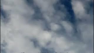 2024 In Bible Prophecy  Here Are 4 Trends To Watch For