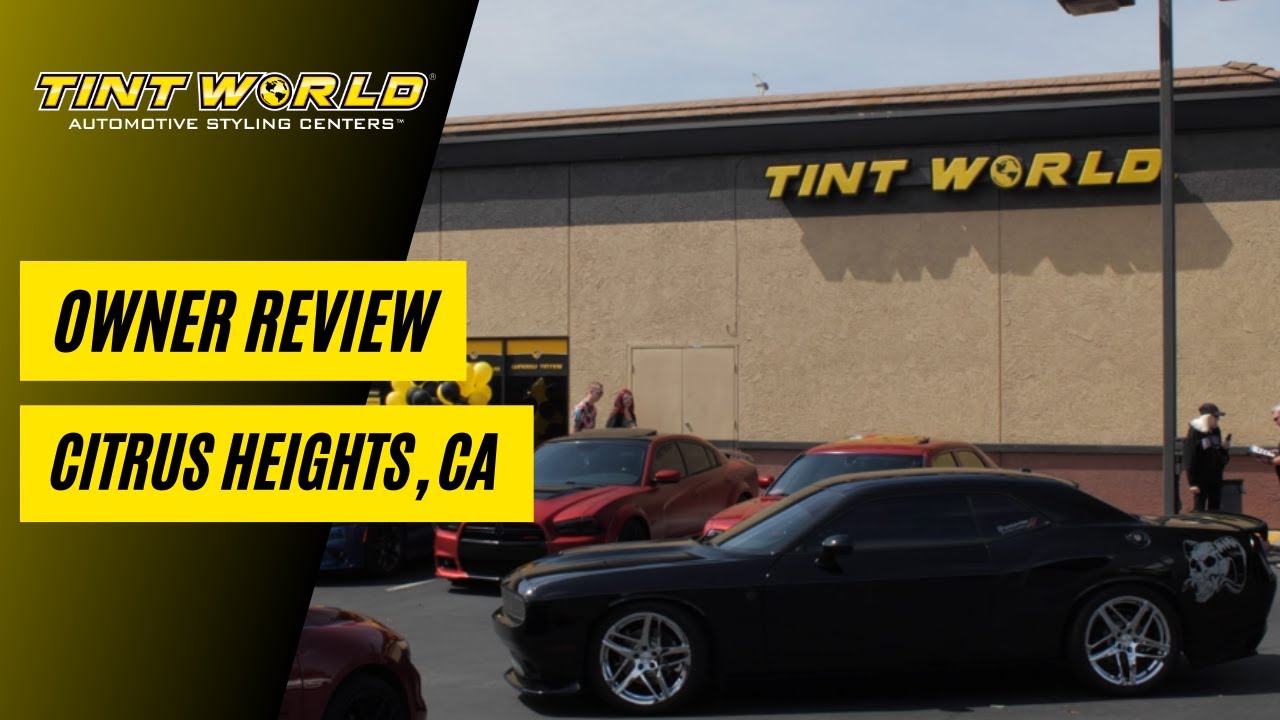 Ahmed Selim's Journey with Tint World: Building Success Through Franchising