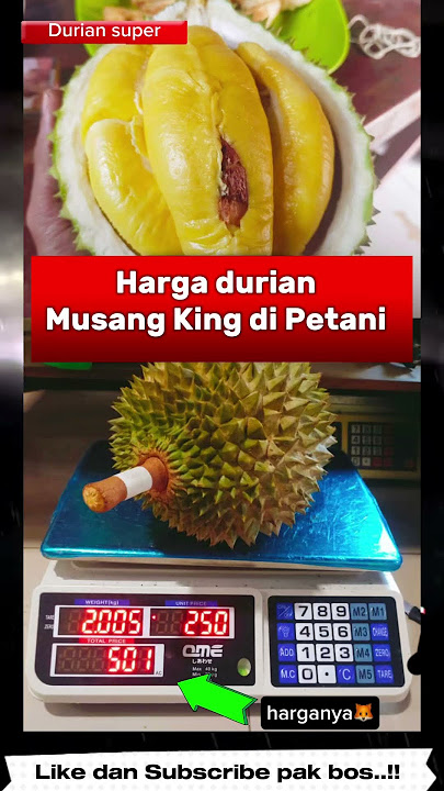 Berapa harga durian musang king? #durian #duren #musangking #petanimilenial