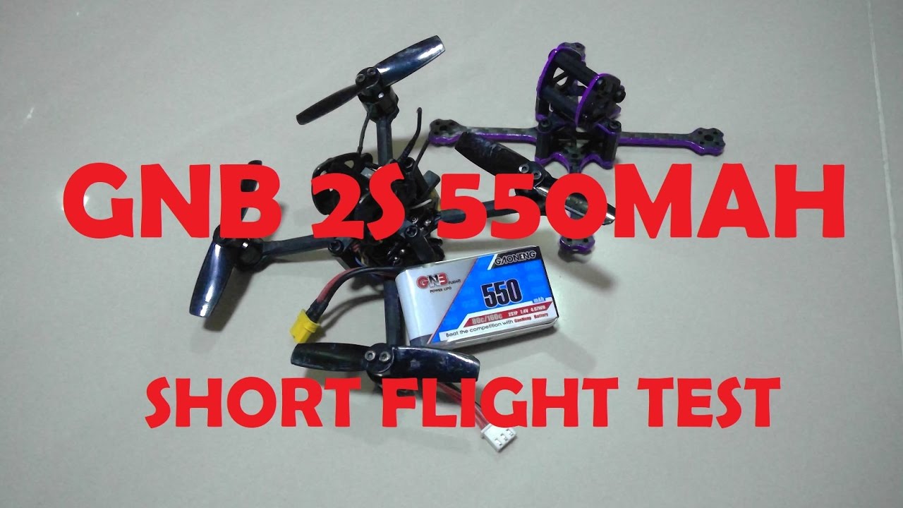 TOMOQUADS PREDATOR WITH GAONENG 2S 550MAH