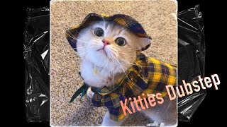DJ Catsmic - Kitties Dubstep