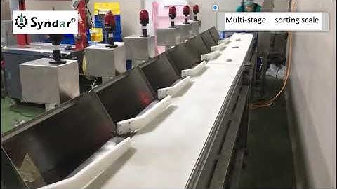 Multistage sorting scale check weigher