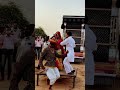 Camel Dancing Rajasrhani Wedding Camel Dancing Rajasrhani Wedding