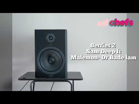 Berries 2 | Sam Deep ft Malemon- Dr Bade lam