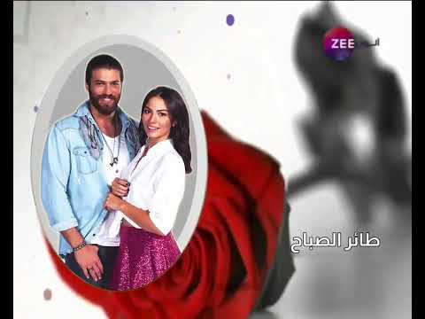 فاصل طائر الصباح على زي الوان من تصميمي 