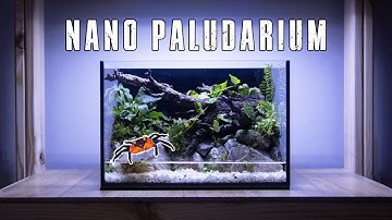 🦀 PALUDARIUM FOR BEGINNERS (SET UP GUIDE)