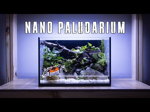 🦀 PALUDARIUM FOR