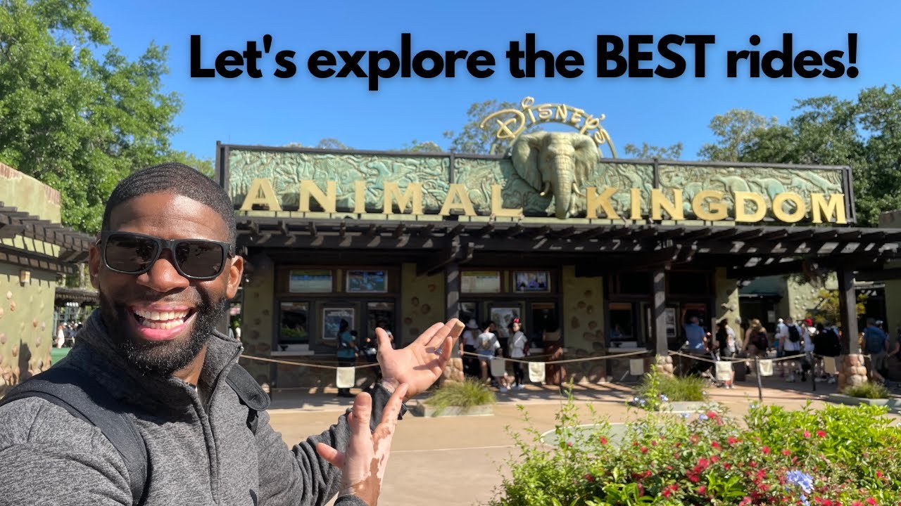 ANIMAL KINGDOM AT DISNEY WORLD | PART 2 | FULL RIDE POVS & LUNCH WITH ...