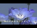 カラオケ 石に咲く花 (北見恭子)