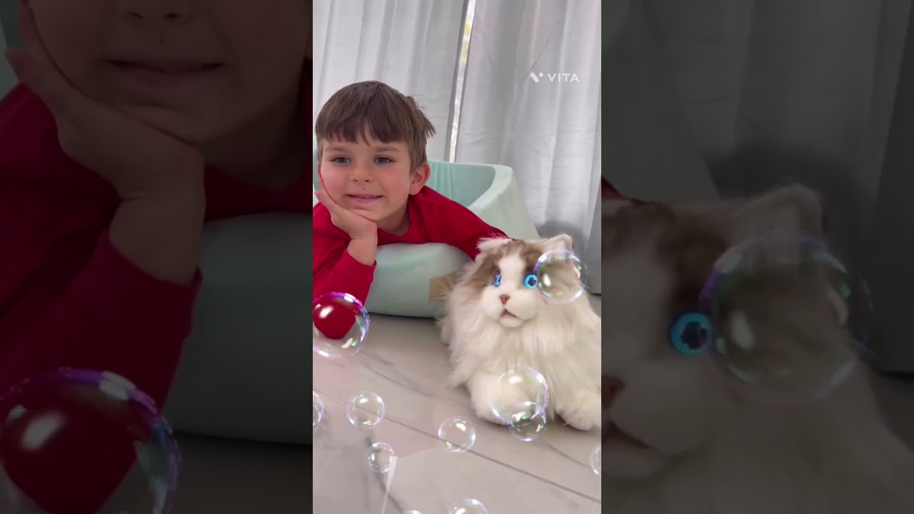 metaCat | What would You Do If You Have A Robotic Cat