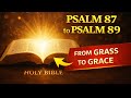 PSALM 87,88,89. THE LIVING WORD OF GOD. THE HOLY BIBLE.