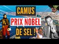 CAMUS OUTRAGÉ ! CAMUS MARTYRISÉ ! MAIS CAMUS LIBÉRÉ (DE SARTRE) ! | Les charges du Hussard #11