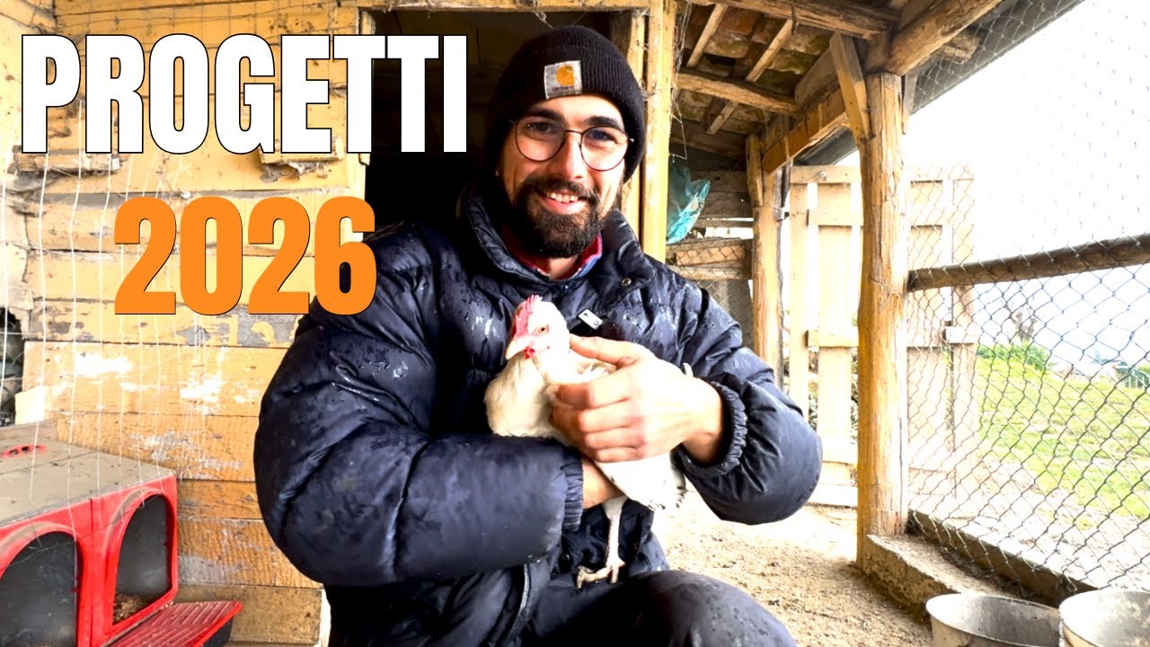 👉 Progetti 2026: Cosa Cambierà Davvero in Azienda Agricola