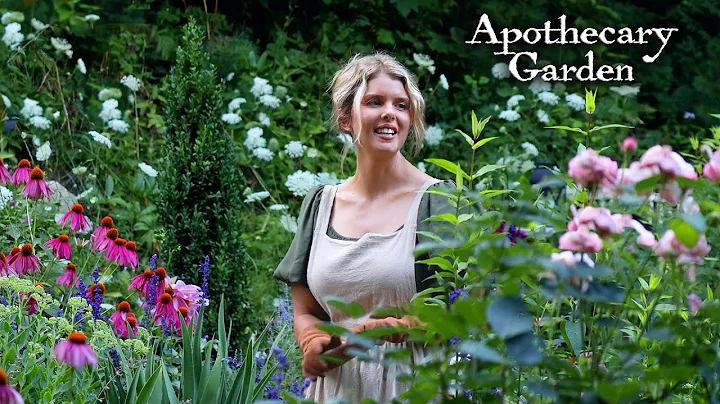 How to Design the Perfect Apothecary Garden: A Beginner's Guide to Medicinal Herbs & Herbalism thumbnail