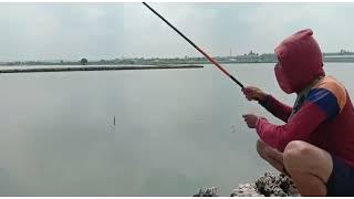 Mancing Mania!!!di Tambak brondong Lamongan