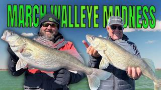 March Walleye Madness: Monroe, MI on Lake Erie | Fisherman's Digest