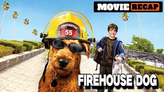 Firefighting Hero Firehouse Dog Recap