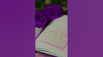 من بدائع القارئ أمين موسى. ج١٦