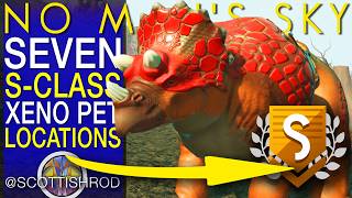 SEVEN SENSATIONAL S-CLASS XENO PETS - The Arena League - No Man's Sky Update - NMS Scottish Rod