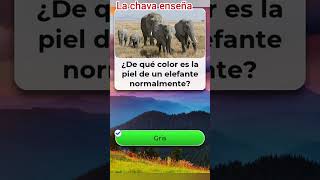 De que color son los elefantes?#enseñanza #quiz#quizshorts