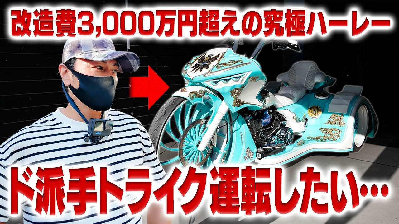 イ*方様 【希少】Harley-Davidson Spyder Web リプリン Ultimate Custom