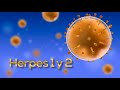 ¡Herpes Genital y Labial en 8 minutos! (TIPO 1 Y 2) (Animación)