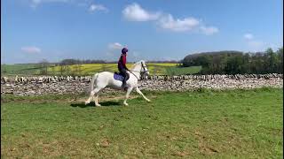 Advert reference - 307573