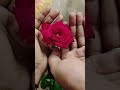 দরুদ শরীফ #allah #subscribe #shorts #motivation #viral #trending