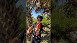 Lambada On Violin  youll Want To Dance