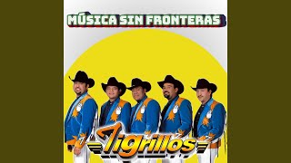 La gringa - Los Tigrillos