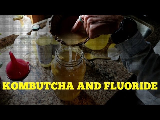 Easy Kombucha Recipe - Bless This Mess Please