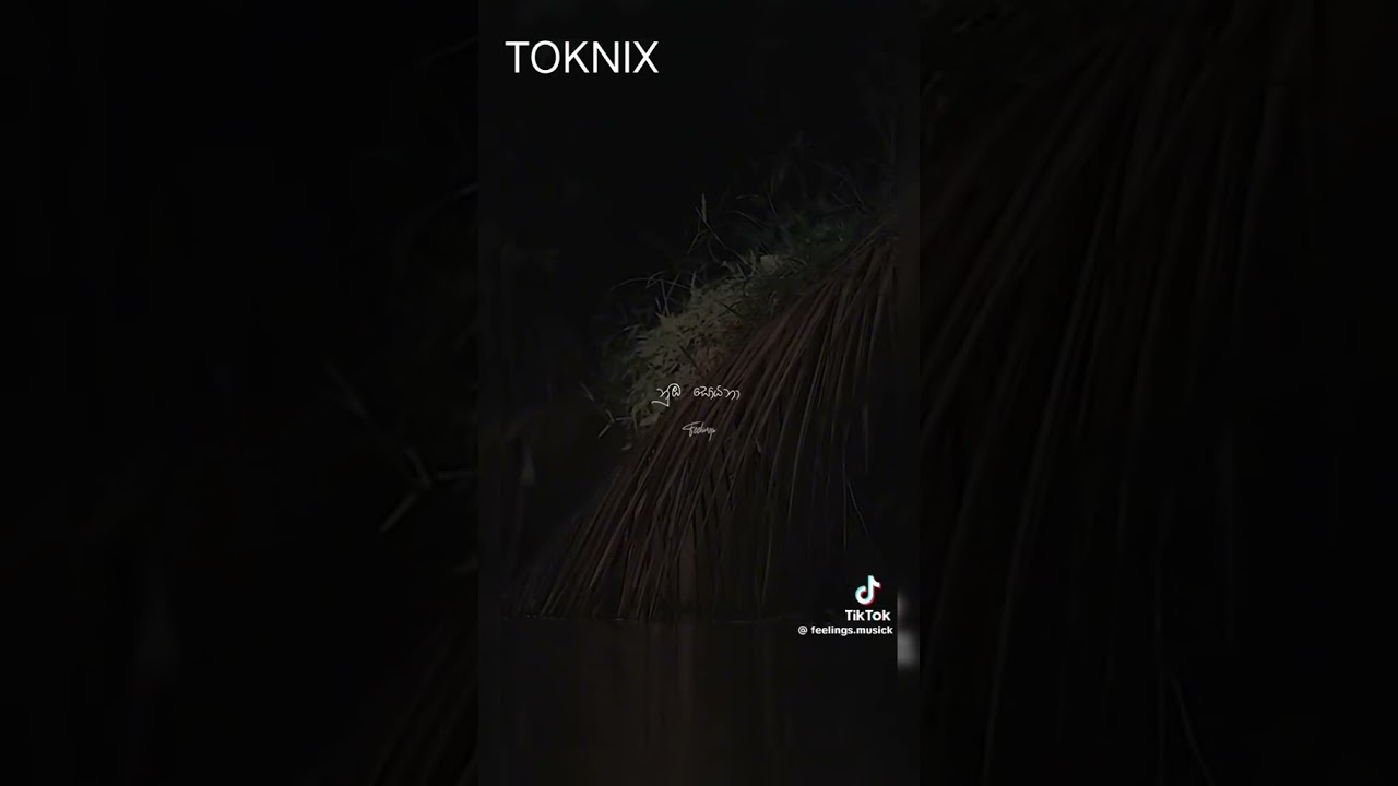 Piano Version @BHASHIDEVANGA