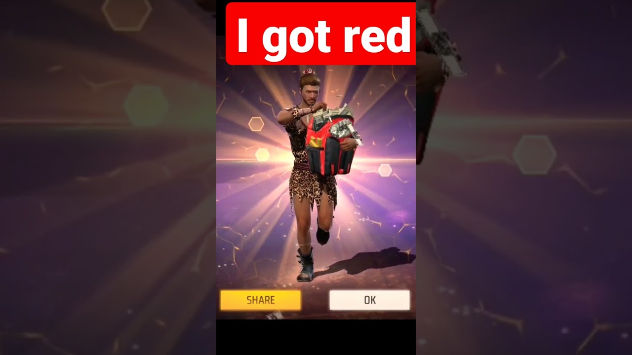 MIL GAYA RED CRIMINAL BUNDLE