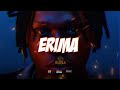 ERIMA (Fireboy x Victony x Rema Type Beat) : 2025 Afrobeats Instrumentals
