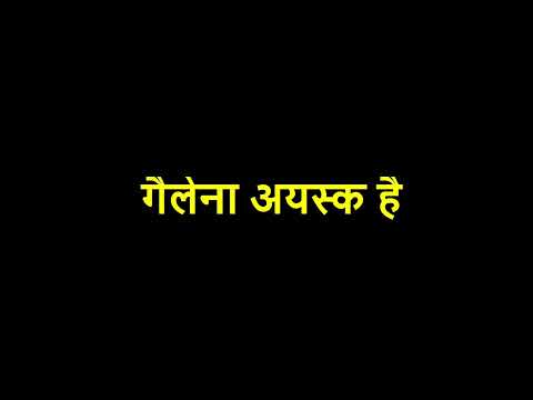 वीडियो: गैलिना टिमचेंको: एक पत्रकार की राह