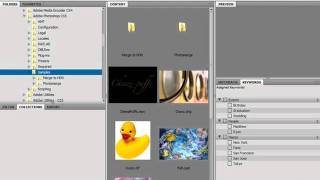 Dreamweaver CS5 Tutorial Compact Mode Adobe Training Lesson 13.3 Profile